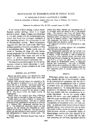 icon of scanned page 1807