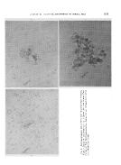 icon of scanned page 1153