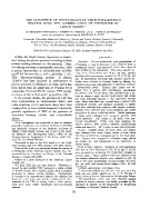 icon of scanned page 25