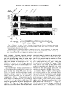 icon of scanned page 947