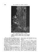 icon of scanned page 1260