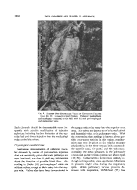 icon of scanned page 1262