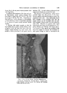 icon of scanned page 1263