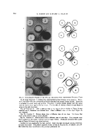 icon of scanned page 714
