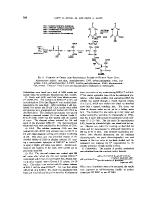 icon of scanned page 800