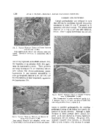 icon of scanned page 1238