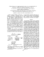 icon of scanned page 221