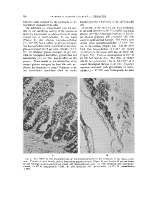 icon of scanned page 736