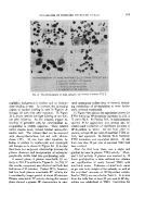 icon of scanned page 913