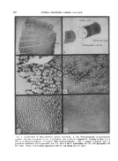 icon of scanned page 920
