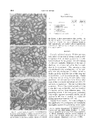 icon of scanned page 1814