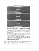 icon of scanned page 97