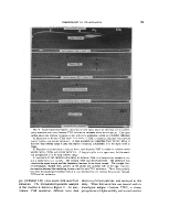 icon of scanned page 99