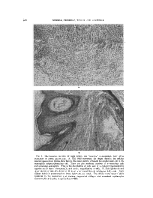 icon of scanned page 632