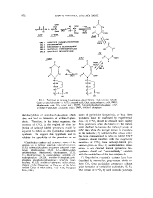 icon of scanned page 872