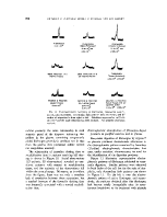 icon of scanned page 904