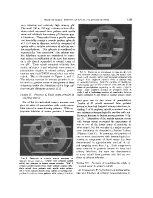 icon of scanned page 1183