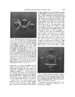 icon of scanned page 1193