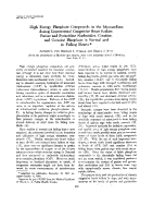 icon of scanned page 202