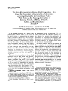 icon of scanned page 302