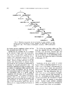 icon of scanned page 312