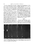 icon of scanned page 430