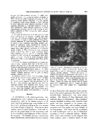 icon of scanned page 479