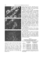 icon of scanned page 480