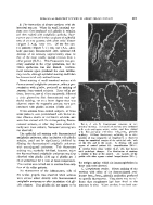 icon of scanned page 481