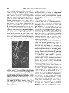 icon of scanned page 482