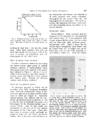 icon of scanned page 489