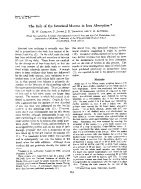icon of scanned page 543