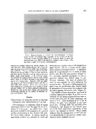 icon of scanned page 545