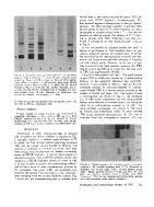 icon of scanned page 511