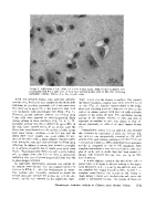 icon of scanned page 1743