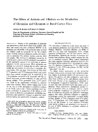 icon of scanned page 1251