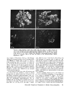 icon of scanned page 79