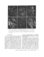 icon of scanned page 81