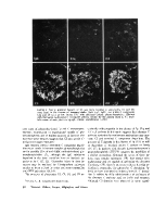 icon of scanned page 82