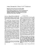 icon of scanned page 390