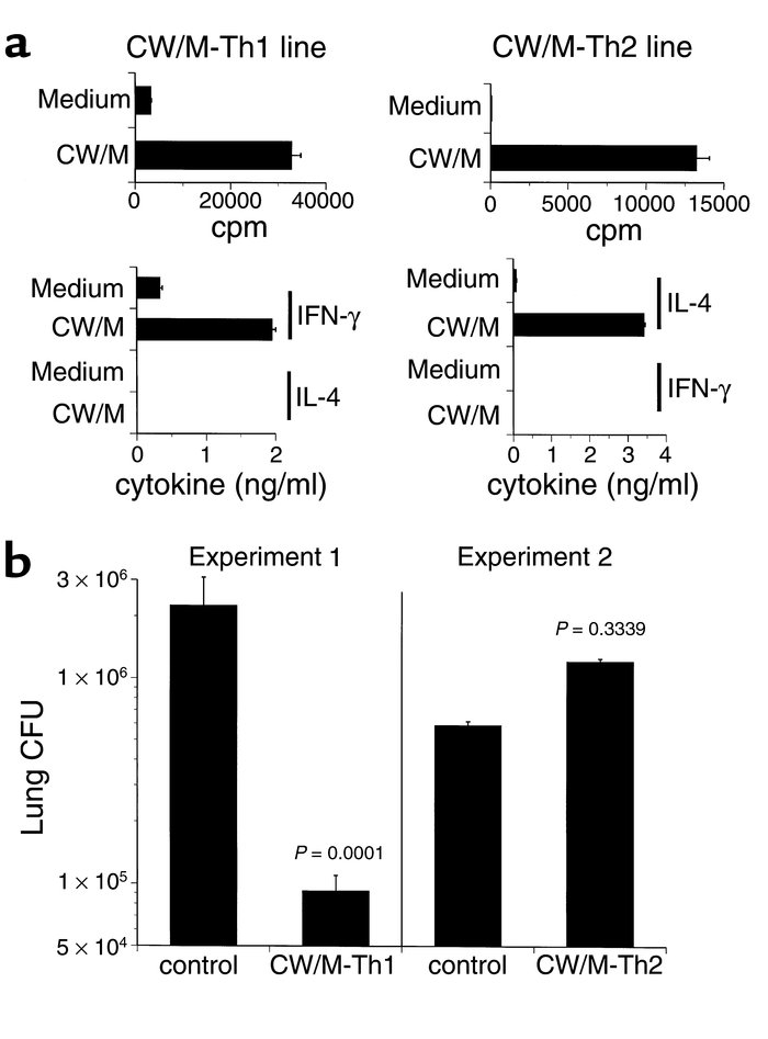 In vitro responses and in vivo function of T-cell lines with polarized c...