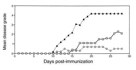 Adoptive transfer of WT splenocytes into CD28KO mice restores EAE. Splen...