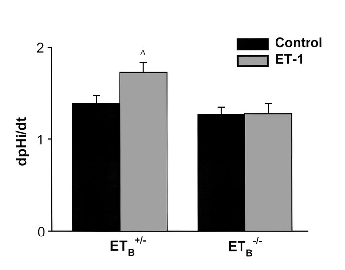 ET-1 activates NHE3 in mouse proximal tubules via the ETB receptor. 10–8...