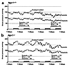Representative 5-day tracings of systolic and diastolic BP continuously rec