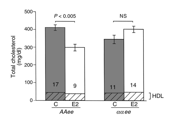 Total cholesterol in plasma of AAee and ααee mice after 3 months of trea...