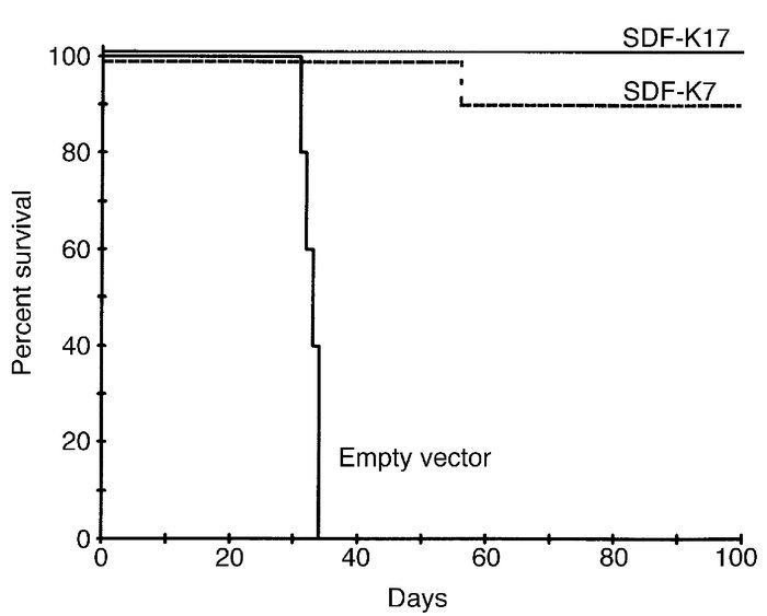 Dissemination of SDF-1-KDEL clones. Shown are survival curves of nude mi...