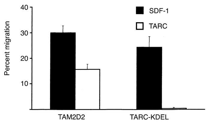 Migration of the TARC-KDEL transfectant. Data are the percentages of cel...