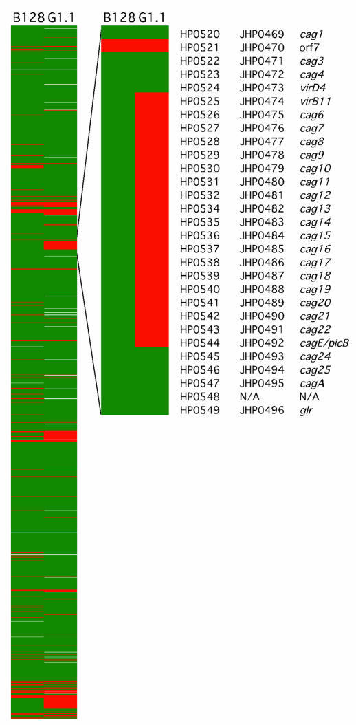 Comparative genomic analysis of GU strain B128 and DU strain G1.1 using ...