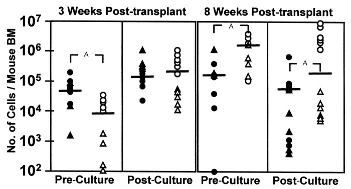 Phenotype of STRC-M and STRC-ML and their expansion in short-term cultur...