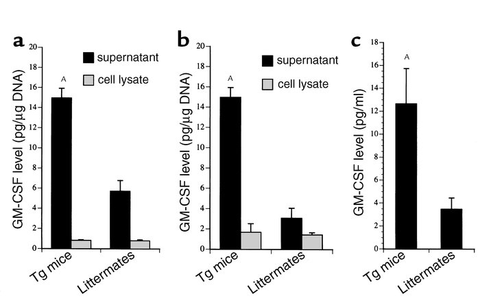 GM-CSF levels in culture supernatants, cell lysates, and sera. Primary c...